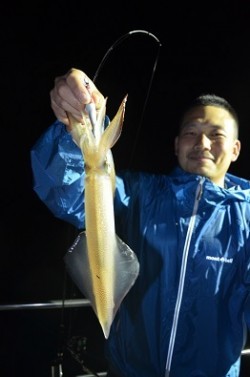 ALBATROSS 釣果 投稿