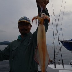 ALBATROSS 釣果 投稿