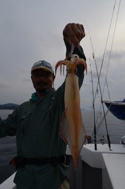 ALBATROSS 釣果 投稿