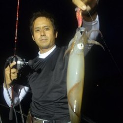 ALBATROSS 釣果 投稿