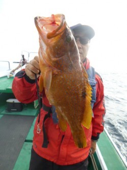 随功丸 釣果 投稿