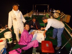 随功丸 釣果 投稿