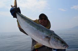 ALBATROSS 釣果 投稿