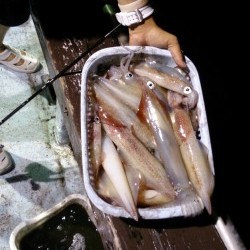 海龍丸 釣果