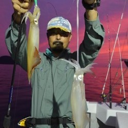 ALBATROSS 釣果 投稿