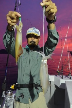 ALBATROSS 釣果 投稿