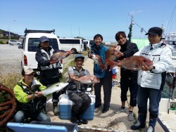 鯛多ニック 釣果 投稿