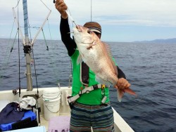 鯛多ニック 釣果 投稿