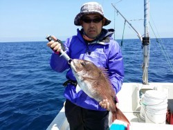 鯛多ニック 釣果 投稿