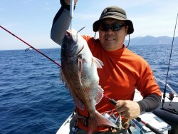 鯛多ニック 釣果