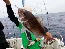 鯛多ニック 釣果