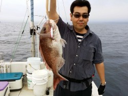 鯛多ニック 釣果