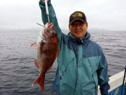 鯛多ニック 釣果