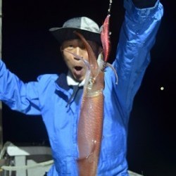 ALBATROSS 釣果 投稿