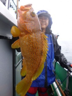 随功丸 釣果 投稿