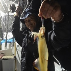 ALBATROSS 釣果 投稿