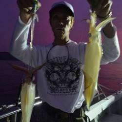 ALBATROSS 釣果 投稿