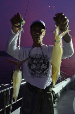 ALBATROSS 釣果 投稿