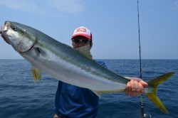 ALBATROSS 釣果 投稿