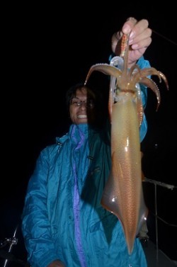 ALBATROSS 釣果 投稿