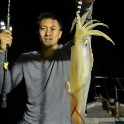 ALBATROSS 釣果 投稿