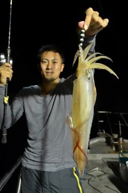 ALBATROSS 釣果 投稿