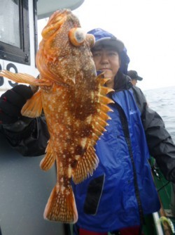 随功丸 釣果 投稿