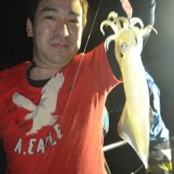 ALBATROSS 釣果 投稿