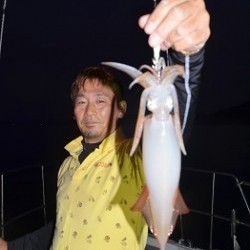 ALBATROSS 釣果 投稿