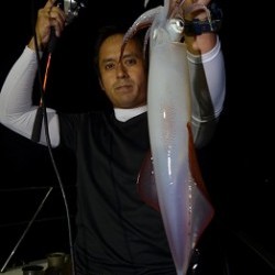 ALBATROSS 釣果 投稿