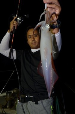 ALBATROSS 釣果 投稿