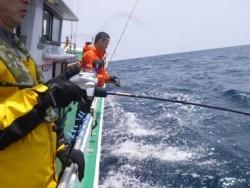 随功丸 釣果 投稿