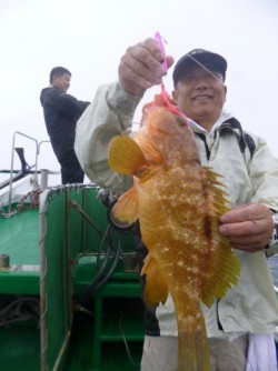 随功丸 釣果 投稿