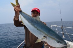 ALBATROSS 釣果 投稿