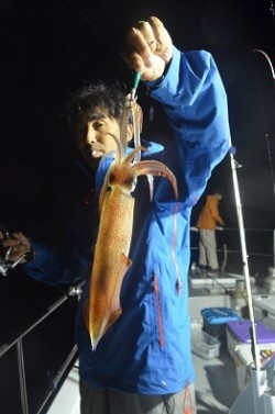 ALBATROSS 釣果 投稿