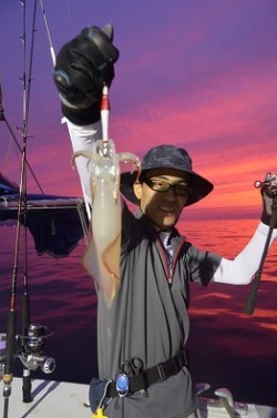 ALBATROSS 釣果 投稿