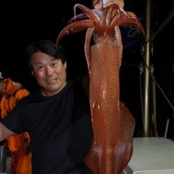 ALBATROSS 釣果 投稿