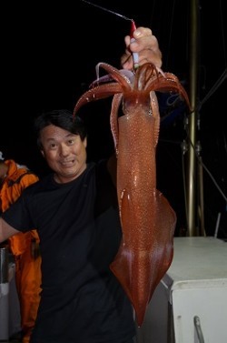 ALBATROSS 釣果 投稿