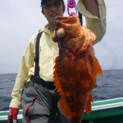 随功丸 釣果 投稿