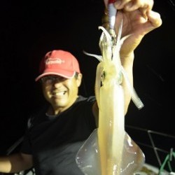 ALBATROSS 釣果 投稿