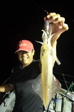 ALBATROSS 釣果 投稿