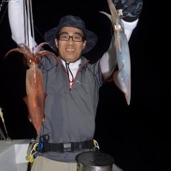 ALBATROSS 釣果 投稿