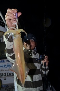 ALBATROSS 釣果 投稿