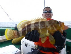 随功丸 釣果 投稿