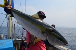 ALBATROSS 釣果 投稿