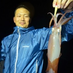 ALBATROSS 釣果 投稿