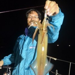 ALBATROSS 釣果 投稿