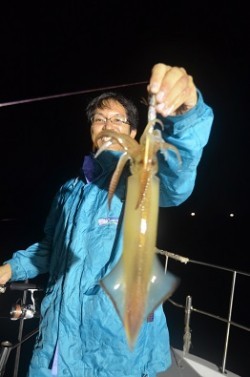 ALBATROSS 釣果 投稿