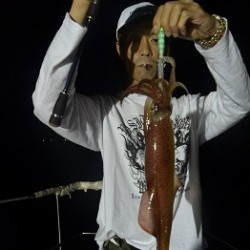 ALBATROSS 釣果 投稿