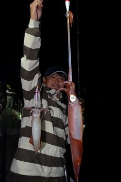 ALBATROSS 釣果 投稿